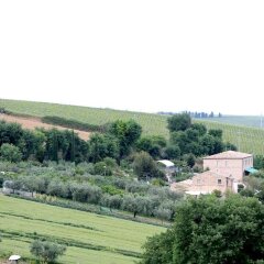 Отель Agriturismo Case al Sole Италия, Лорето - отзывы, цены и фото номеров - забронировать отель Agriturismo Case al Sole онлайн балкон