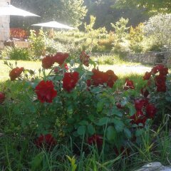 Отель B&b Alla Rotonda Vicenza Италия, Виченца - отзывы, цены и фото номеров - забронировать отель B&b Alla Rotonda Vicenza онлайн