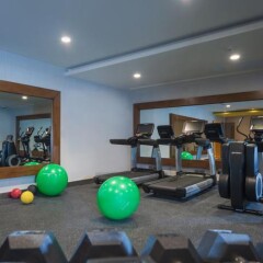 Отель Embassy Suites by Hilton Santo Domingo фитнесс-зал фото 4
