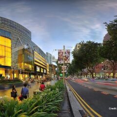 Отель Mercure Singapore Bugis Сингапур, Сингапур - 1 отзыв об отеле, цены и фото номеров - забронировать отель Mercure Singapore Bugis онлайн фото 8