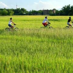Отель De Campagne Villa Hoi An спортивное сооружение