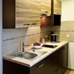 Отель Apartamenty Viva Tatry Польша, Закопане - отзывы, цены и фото номеров - забронировать отель Apartamenty Viva Tatry онлайн фото 18