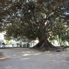 Отель B&B Hi Valencia Boutique