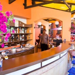 Hrizantema- All Inclusive Hotel гостиничный бар фото 3
