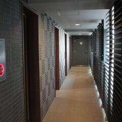 Hotel Livemax Tokyo Bakurocho Токио интерьер отеля