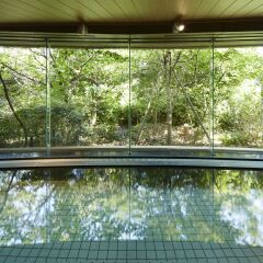Agora Fukuoka Hilltop Hotel & Spa Фукуока бассейн