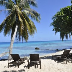 Отель Le Coconut Lodge Французская Полинезия, Рангироа - отзывы, цены и фото номеров - забронировать отель Le Coconut Lodge онлайн