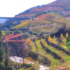 Отель Villa With 3 Bedrooms in Lamego, With Wonderful Mountain View, Private фото 9