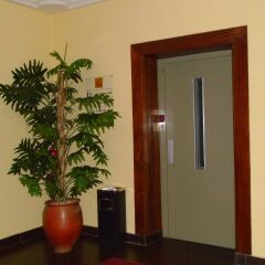 Palma Hotel интерьер отеля фото 2