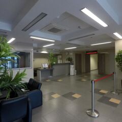 Hotel Terminal Adler Сочи фото 8