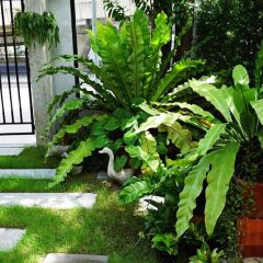 Отель Hansa Bangkok House Бангкок фото 3