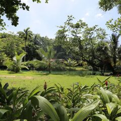 Отель Frenchman's Cove Resort Ямайка, Порт Антонио - отзывы, цены и фото номеров - забронировать отель Frenchman's Cove Resort онлайн фото 4