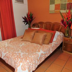 Casa Lima Bed & Breakfast in San Jose, Costa Rica from 39$, photos, reviews - zenhotels.com guestroom photo 3