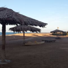 Отель Palma Resort пляж