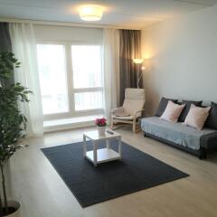 Апартаменты Kotimaailma Apartments Jyväskylä Ювяскюля комната для гостей фото 3