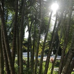 Отель Villa Tulum Hotel Италия, Рим - отзывы, цены и фото номеров - забронировать отель Villa Tulum Hotel онлайн приотельная территория