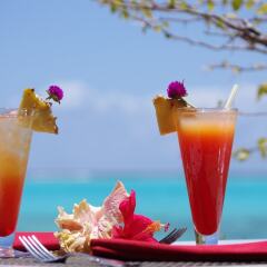 Отель Hibiscus Французская Полинезия, Муреа - отзывы, цены и фото номеров - забронировать отель Hibiscus онлайн гостиничный бар