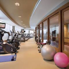 Jood Palace Hotel Dubai фитнесс-зал фото 3