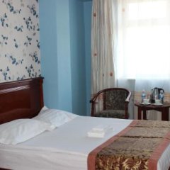 TOTO Hotel in Ulaanbaatar, Mongolia from 55$, photos, reviews - zenhotels.com guestroom