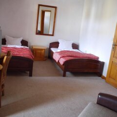 Отель Family Hotel Silver Болгария, Смолян - отзывы, цены и фото номеров - забронировать отель Family Hotel Silver онлайн комната для гостей фото 4