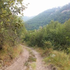 Отель Perun Hotel Sandanski Болгария, Сандански - отзывы, цены и фото номеров - забронировать отель Perun Hotel Sandanski онлайн приотельная территория