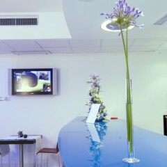Отель Mercure Rimini Lungomare Италия, Римини - 8 отзывов об отеле, цены и фото номеров - забронировать отель Mercure Rimini Lungomare онлайн помещение для мероприятий