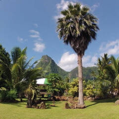 Village Temanoha in Moorea, French Polynesia from 173$, photos, reviews - zenhotels.com