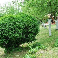 Отель Guest House Villa Teres Казанлак фото 9