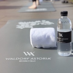 Отель Waldorf Astoria Beverly Hills Беверли Хиллс фитнесс-зал фото 3