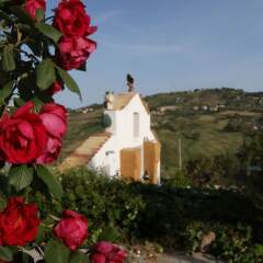 Отель B&B Eyexei Domus Агридженто фото 2