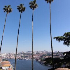 Отель Premium Porto Downtown фото 11