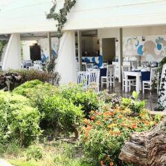 Отель Yasmin Bodrum Resort фото 7