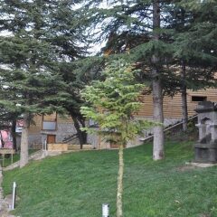 Garden Termal Otel Турция, Болу - отзывы, цены и фото номеров - забронировать отель Garden Termal Otel онлайн с домашними животными