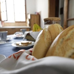 Отель Puerto Nest Hostel Испания, Тенерифе - отзывы, цены и фото номеров - забронировать отель Puerto Nest Hostel онлайн фото 2