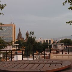 Отель Suites Chapultepec Мексика, Гвадалахара - отзывы, цены и фото номеров - забронировать отель Suites Chapultepec онлайн фото 6