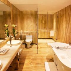 Отель Radisson Blu Plaza Delhi Airport спа