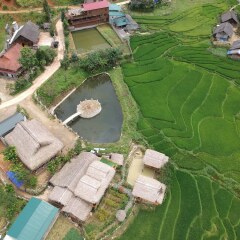 Отель Golden Rice Garden Sapa Шапа бассейн