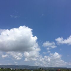 Отель Waikiki Guest House Треже-Бич приотельная территория