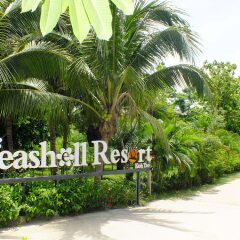 Отель Seashell Resort Koh Tao Таиланд, Остров Тау - 1 отзыв об отеле, цены и фото номеров - забронировать отель Seashell Resort Koh Tao онлайн фото 15