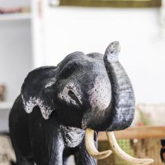Отель Blue Elephant Guest House с домашними животными