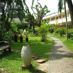 Отель Samui Beach Resort Таиланд, Самуи - 7 отзывов об отеле, цены и фото номеров - забронировать отель Samui Beach Resort онлайн