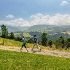 Отель Bergkristall - Natur und Spa фото 3