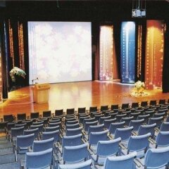Отель Roros Hotell развлечения