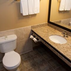 Отель Best Western Maple Ridge Hotel Канада, Мэйпл-Ридж - отзывы, цены и фото номеров - забронировать отель Best Western Maple Ridge Hotel онлайн ванная фото 2