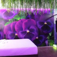 Отель Sweety Resort