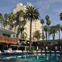Hollywood Roosevelt Hotel бассейн
