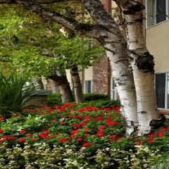 Отель Royal Scot Hotel & Suites Канада, Виктория - отзывы, цены и фото номеров - забронировать отель Royal Scot Hotel & Suites онлайн фото 5