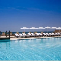 Hotel Guadalmina Spa & Golf Resort с домашними животными