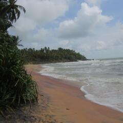Отель Leatherback Beach Villa пляж