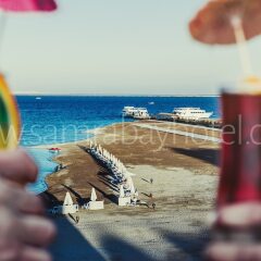 Samra Bay Hotel & Resort - All Inclusive с домашними животными